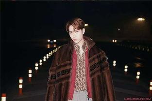 阿飞爆料王嘉尔视频,事件背后真相揭秘 第1张 阿飞爆料王嘉尔视频,事件背后真相揭秘 第1张