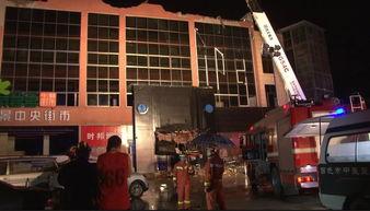 贵港宠物店爆料事件最新,揭露行业黑幕,宠物权益引关注 第2张 贵港宠物店爆料事件最新,揭露行业黑幕,宠物权益引关注 第2张